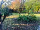 Komárom-Esztergom megye - Tata