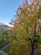 Budapest, XI. kerület - Kelenföld