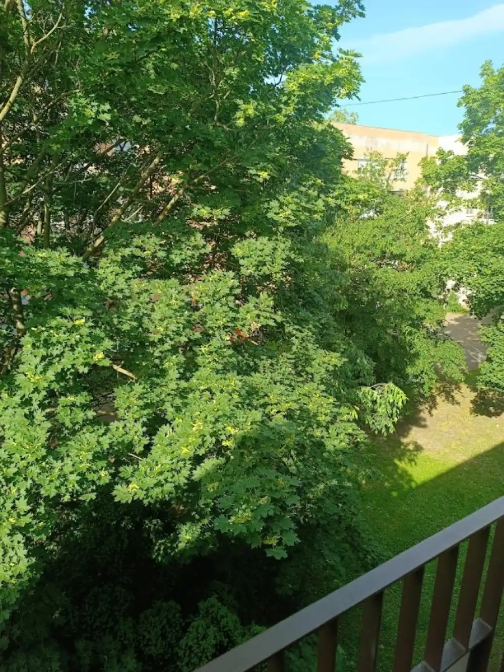 Komárom-Esztergom megye - Tatabánya