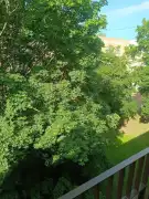 Komárom-Esztergom megye - Tatabánya