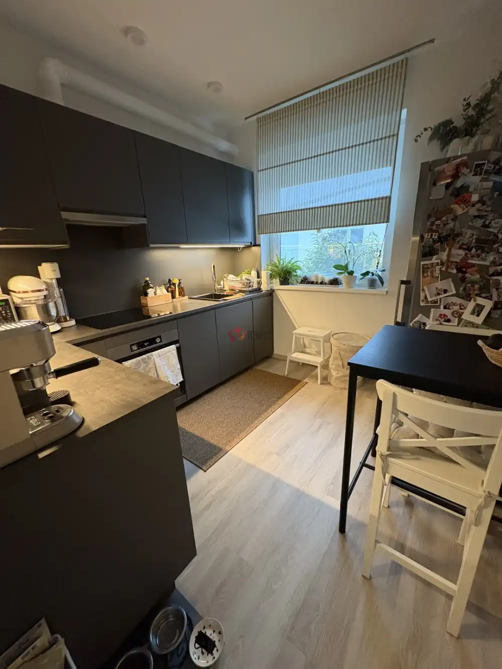 Budapest, XXI. kerület - Erdősor