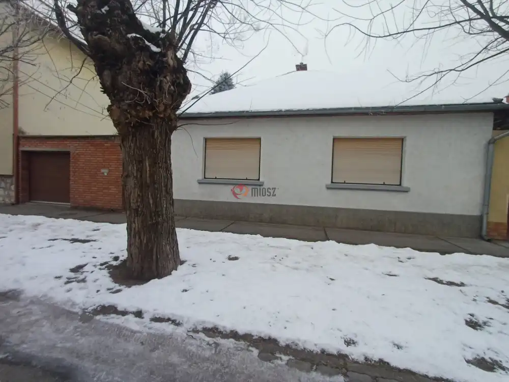 Bács-Kiskun megye - Baja