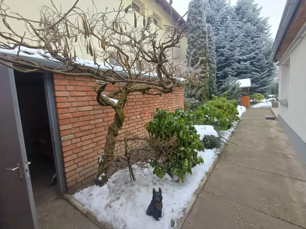 Bács-Kiskun megye - Baja