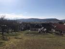 Nógrád megye - Berkenye