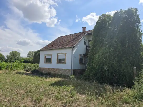 Eladó családi ház, Borota 4 szoba 130 m² 28 M Ft