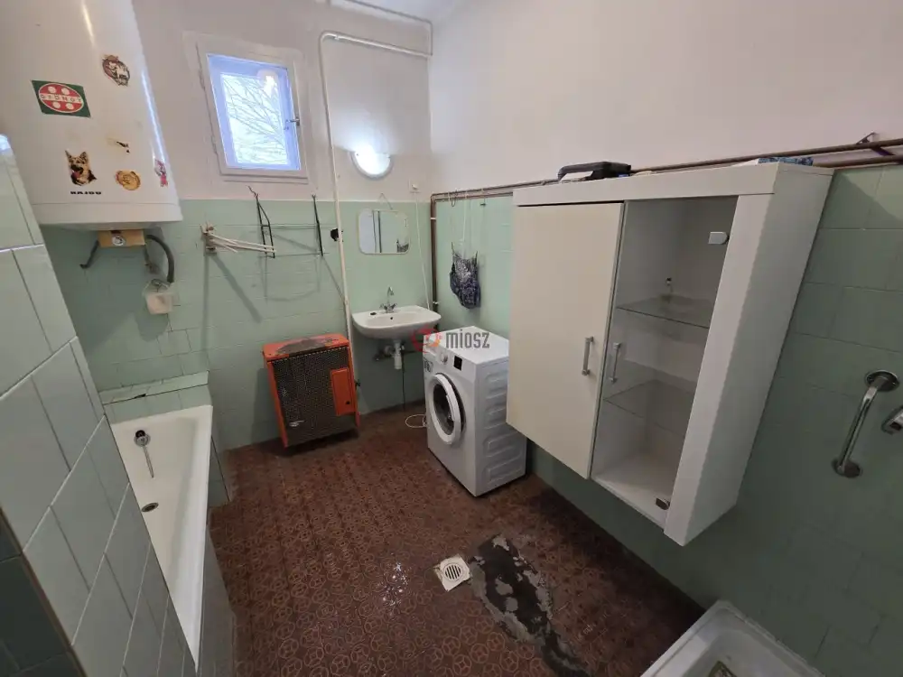 Bács-Kiskun megye - Borota