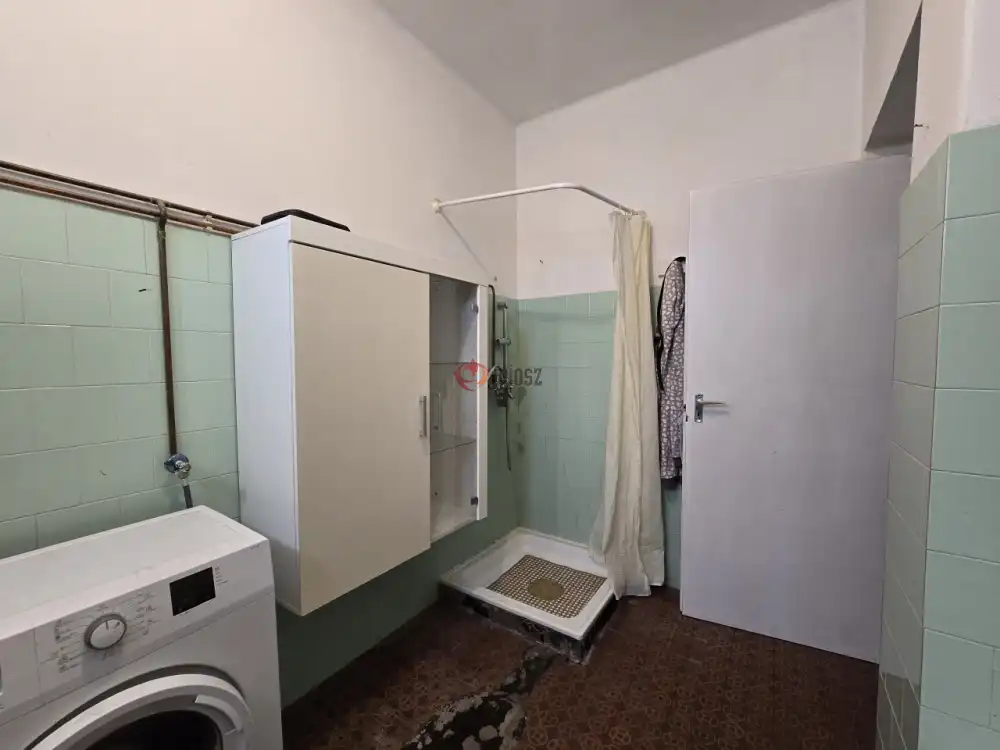 Bács-Kiskun megye - Borota