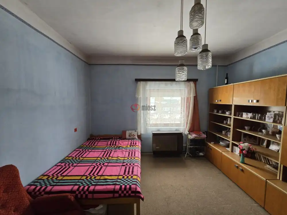 Bács-Kiskun megye - Borota