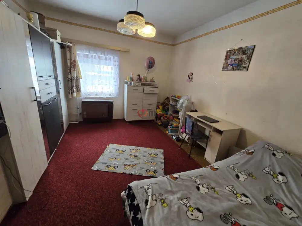 Bács-Kiskun megye - Borota