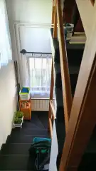 Pest megye - Budakeszi