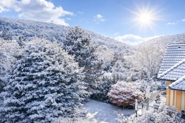 Eladó családi ház, Budapest, II. kerület 5+2 szoba 254 m² 475 M Ft