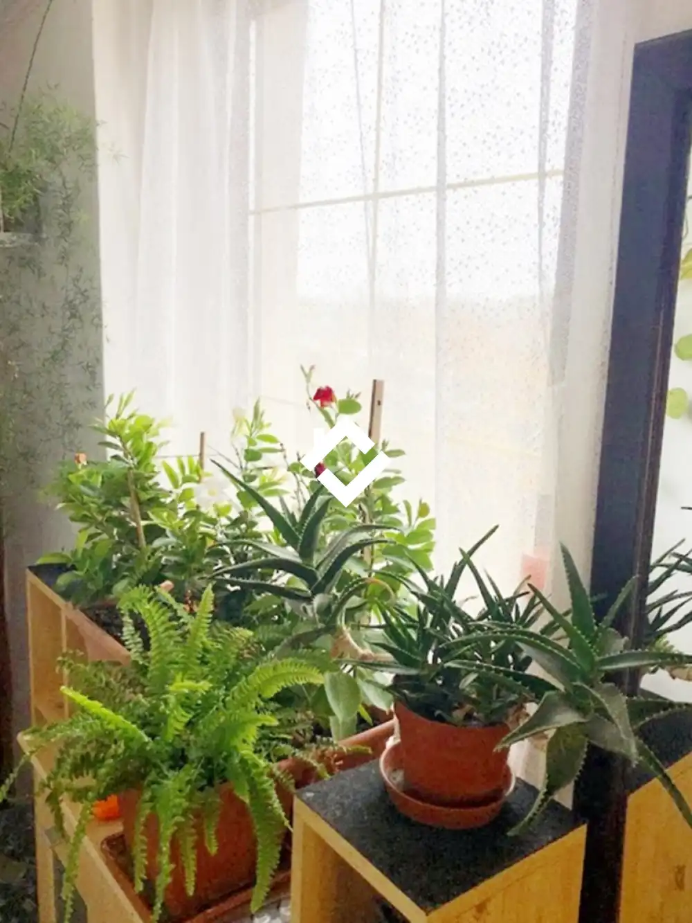 Veszprém megye - Csopak