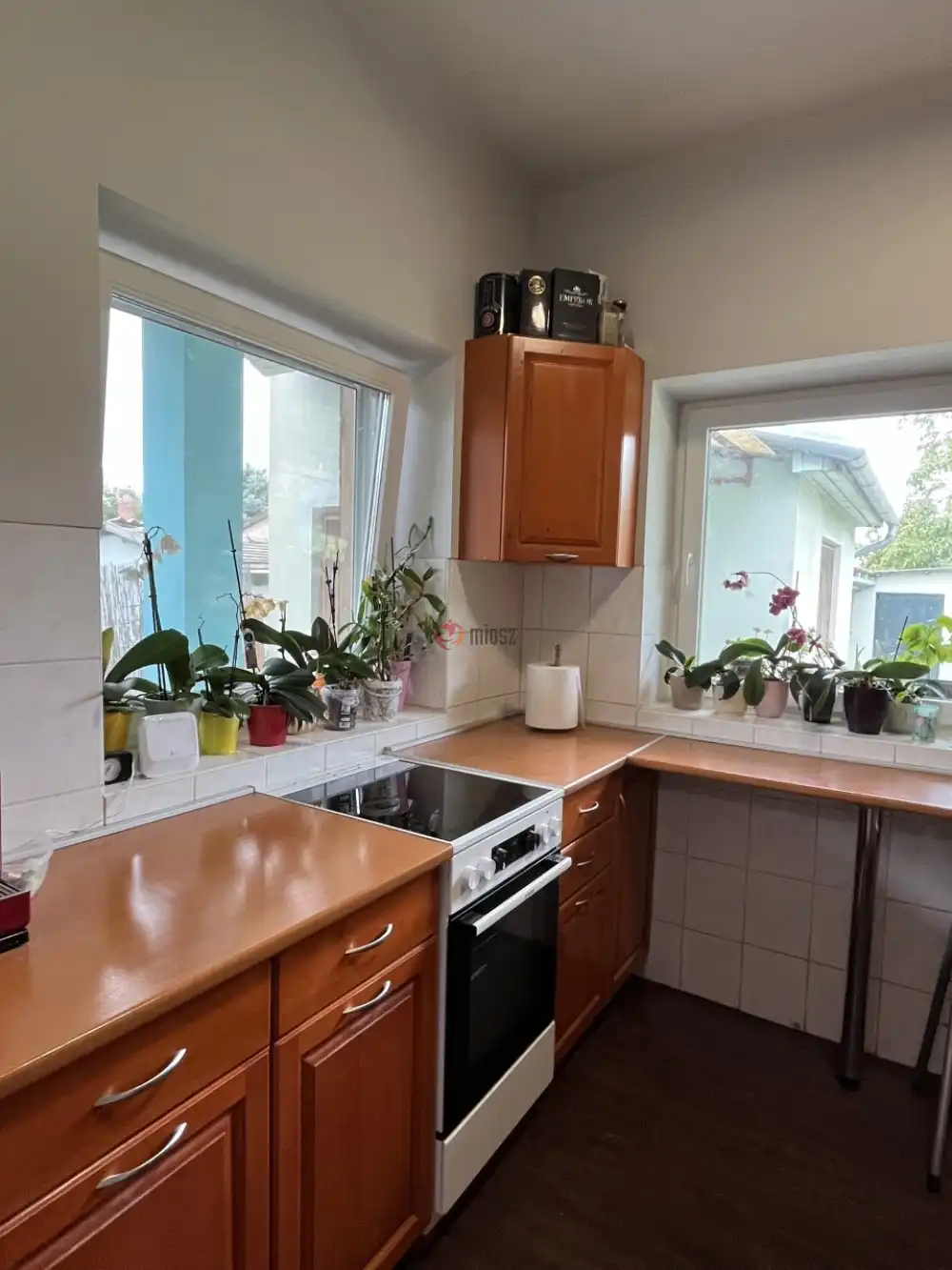 Pest megye - Dunaharaszti