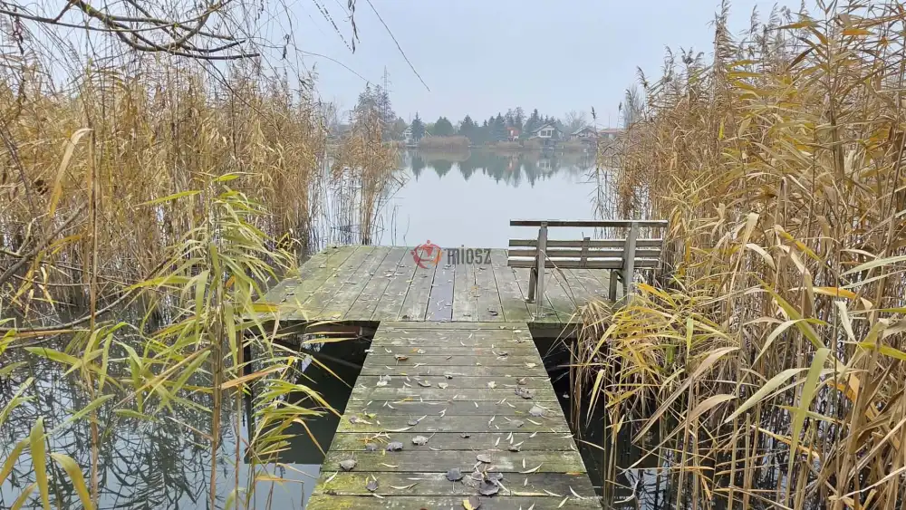 Pest megye - Dunavarsány