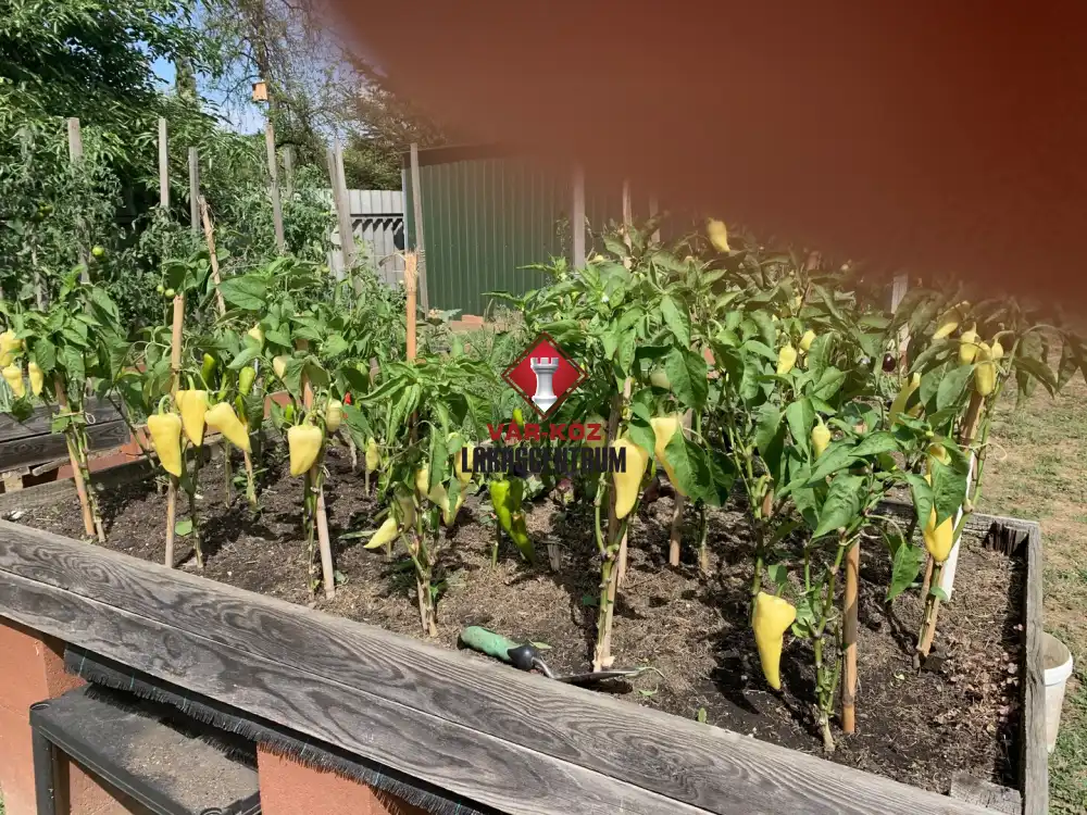 Zala megye - Hévíz