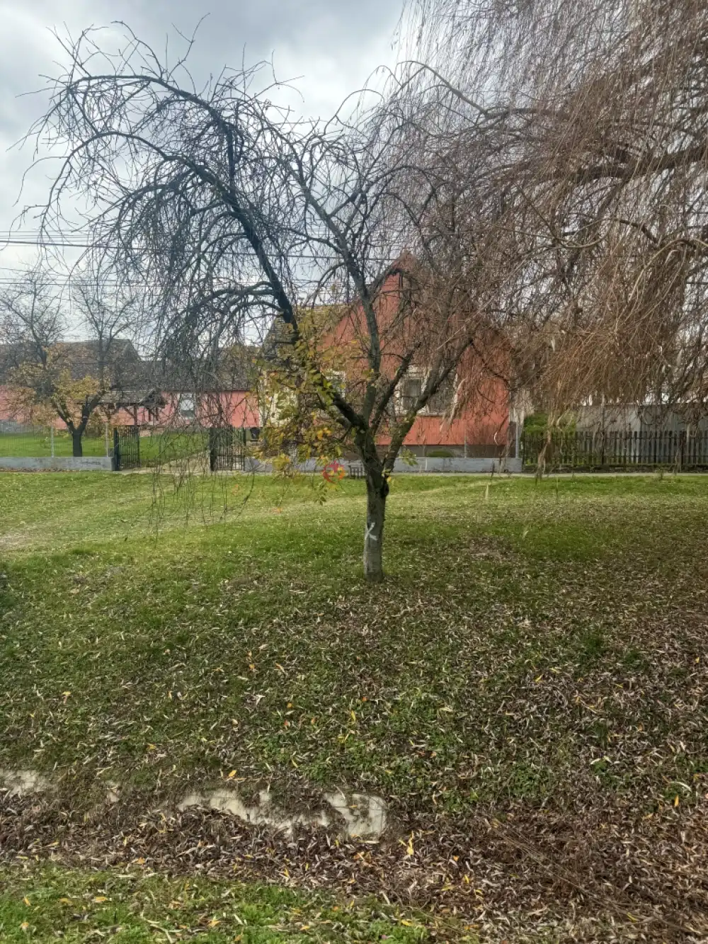 Baranya megye - Ivándárda