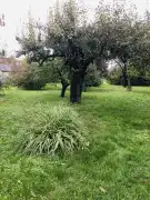 Komárom-Esztergom megye - Komárom