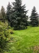 Komárom-Esztergom megye - Komárom