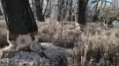 Komárom-Esztergom megye - Komárom