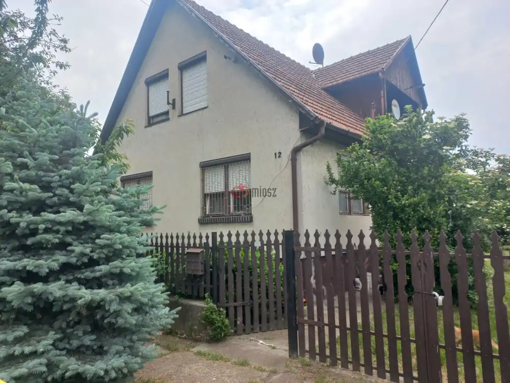Bács-Kiskun megye - Kunszentmiklós