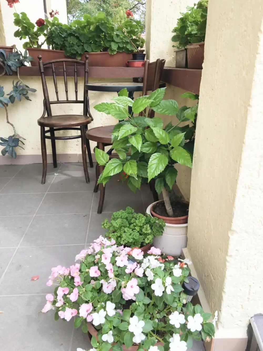 Zala megye - Kustánszeg