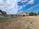 Bács-Kiskun megye - Madaras