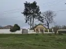 Bács-Kiskun megye - Madaras