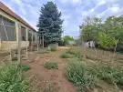 Bács-Kiskun megye - Madaras