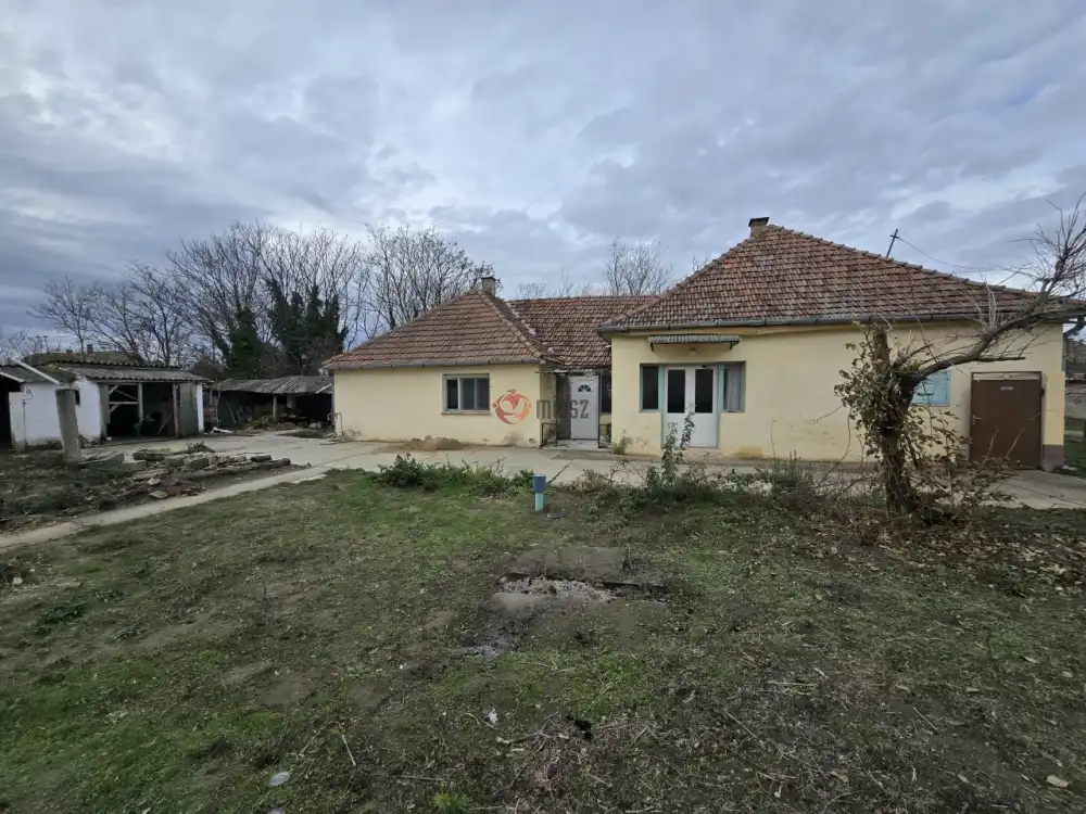 Bács-Kiskun megye - Madaras