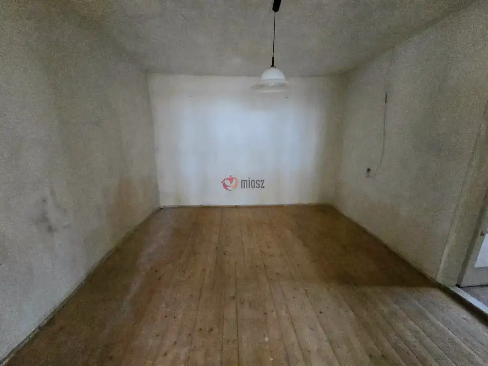 Bács-Kiskun megye - Madaras