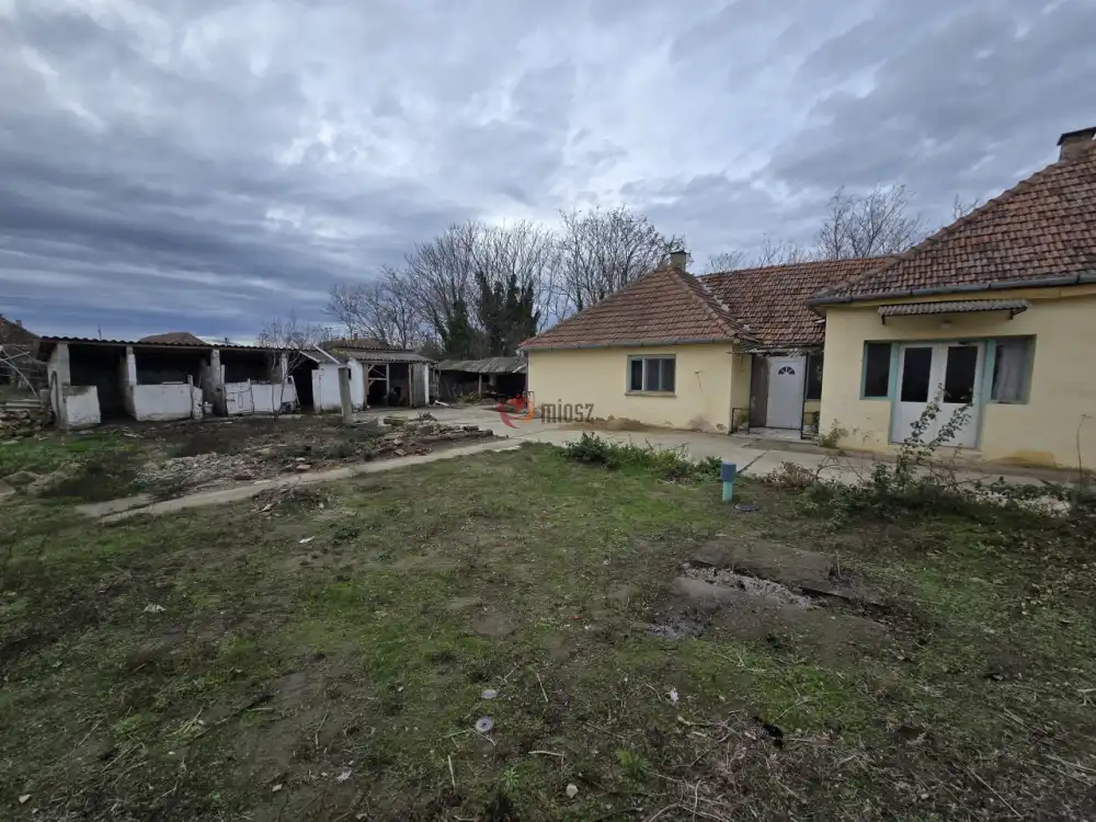 Bács-Kiskun megye - Madaras