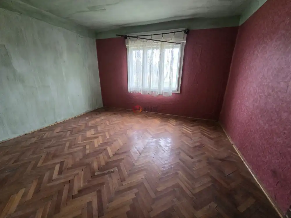 Bács-Kiskun megye - Madaras