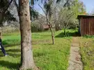 Pest megye - Maglód