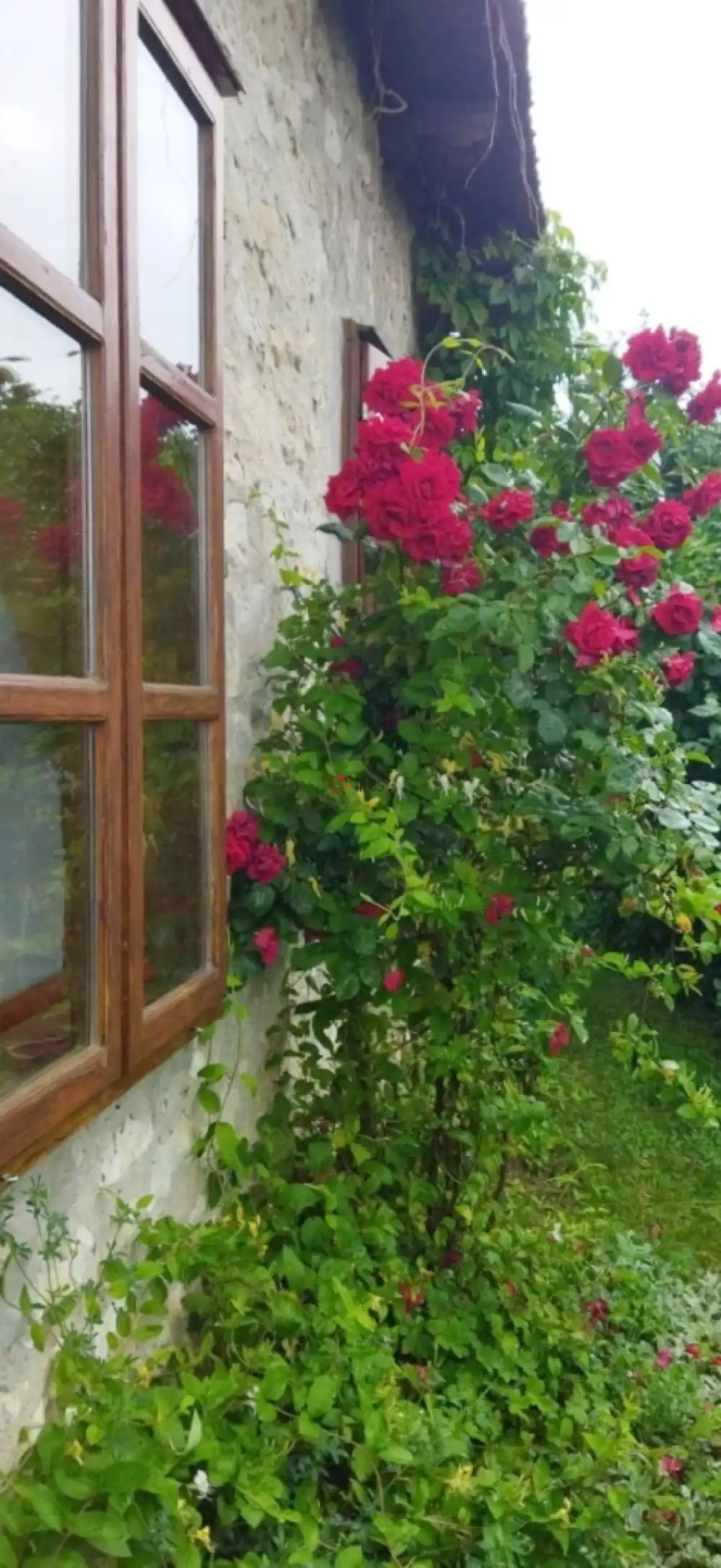 Veszprém megye - Nagyvázsony