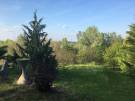 Komárom-Esztergom megye - Naszály