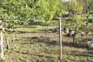 Borsod-Abaúj-Zemplén megye - Onga