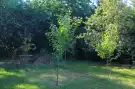 Pest megye - Őrbottyán