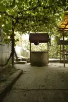Komárom-Esztergom megye - Oroszlány