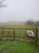 Komárom-Esztergom megye - Oroszlány