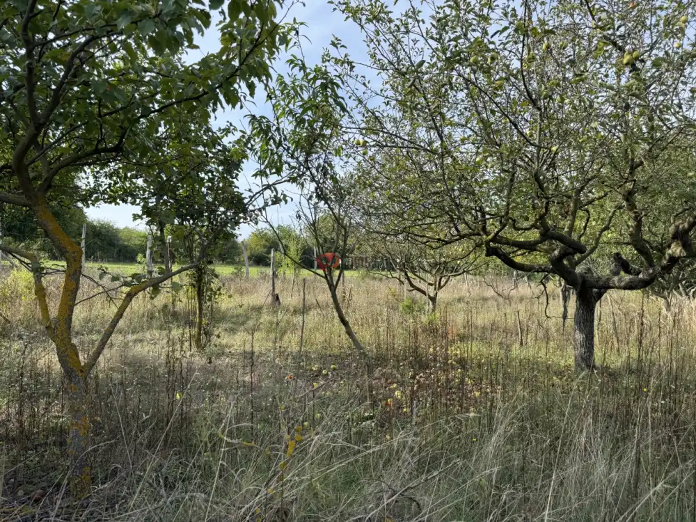 Fejér megye - Pátka