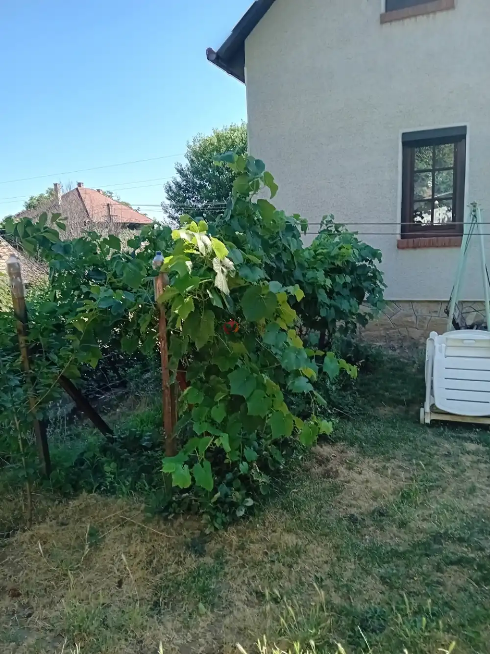 Pest megye - Pécel