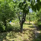 Baranya megye - Pécs
