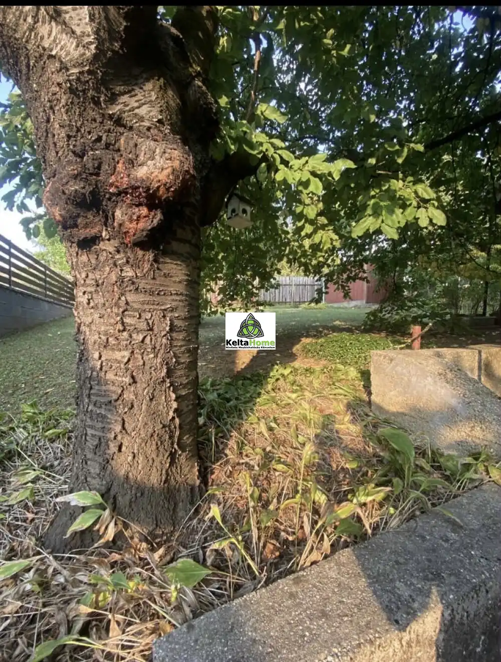 Pest megye - Pilisvörösvár