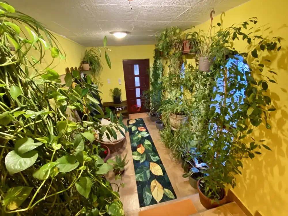 Pest megye - Ráckeve