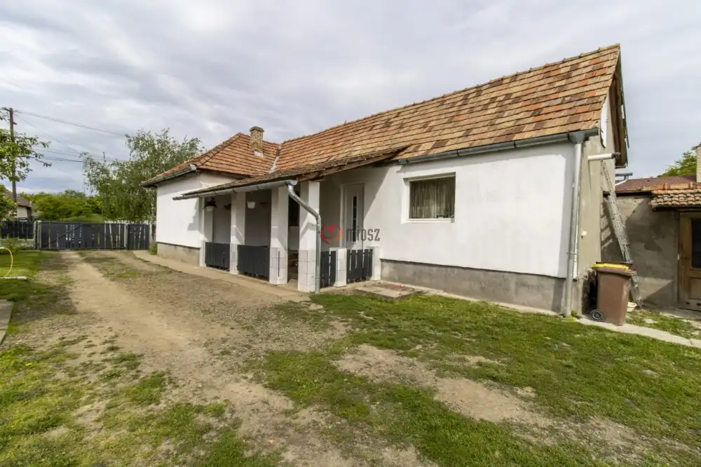 Nógrád megye - Szarvasgede