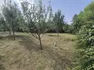 Baranya megye - Szászvár
