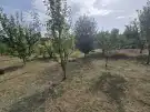 Baranya megye - Szászvár