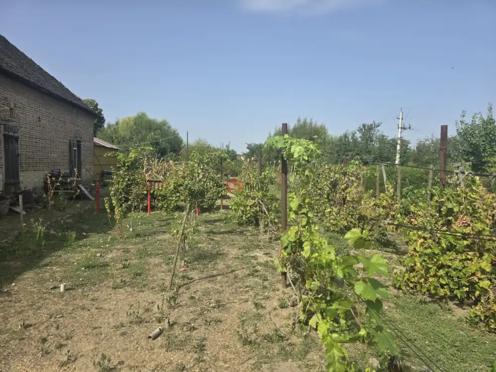 Baranya megye - Szászvár