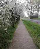 Pest megye - Szigetújfalu