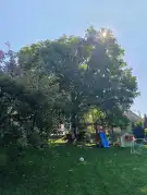 Komárom-Esztergom megye - Tardos